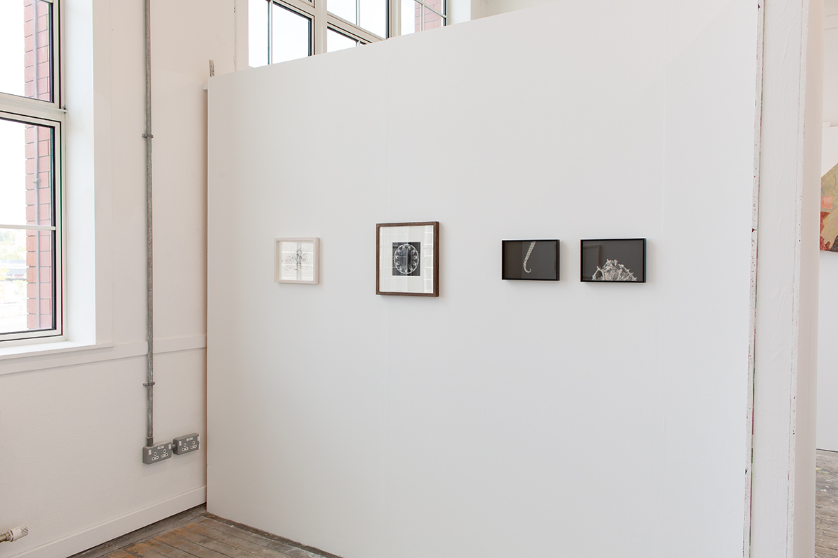 Chloe Cavender, Órkhis, Installation View, GSA Stow Building, Glasgow, 2026